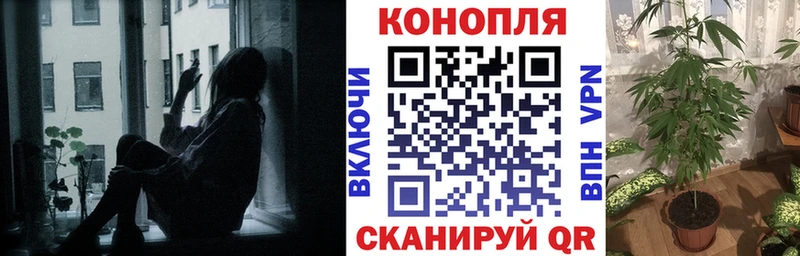 Канабис планчик  darknet какой сайт  Кировград 